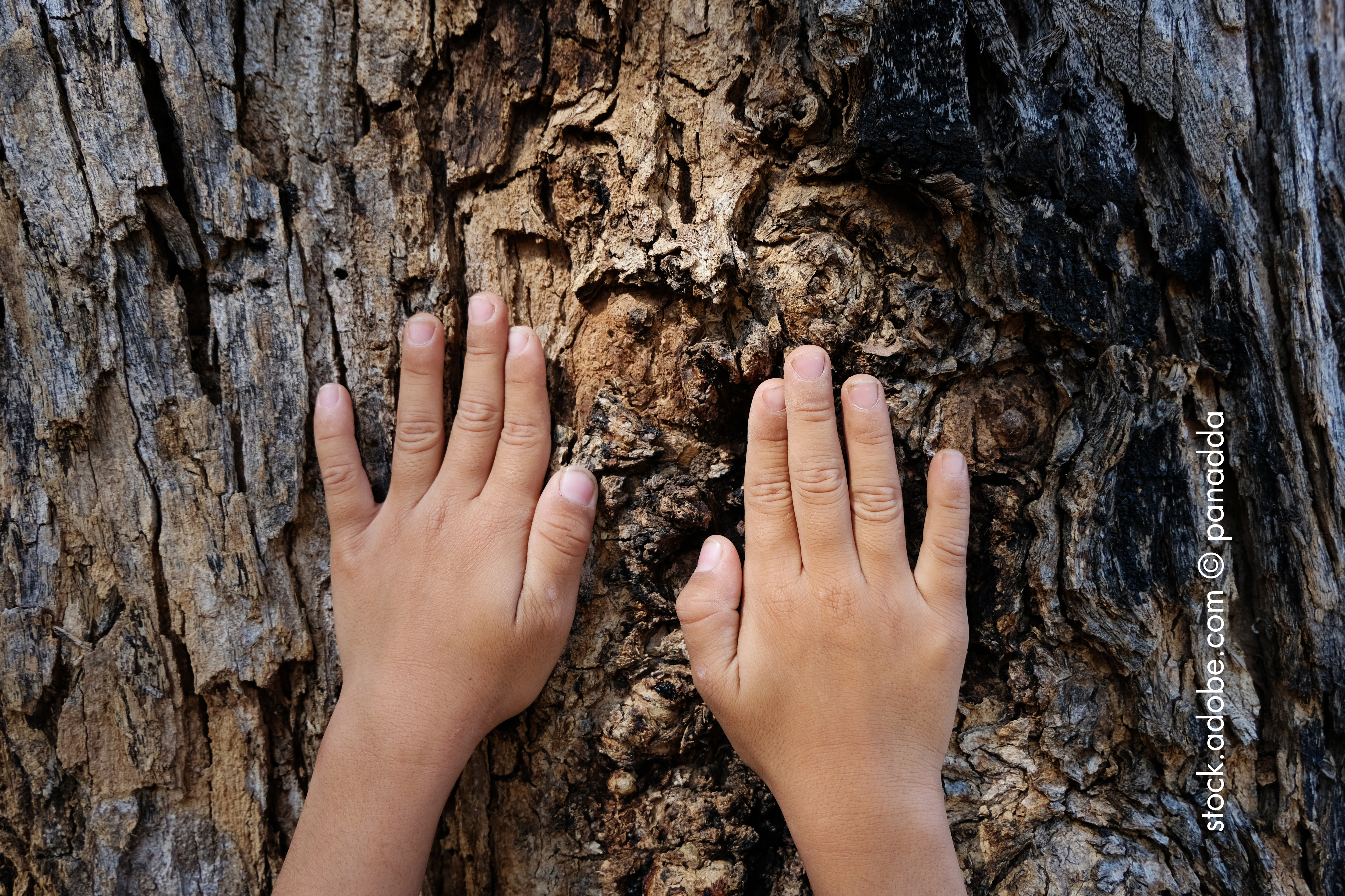 Mit dem Jäger in der Natur