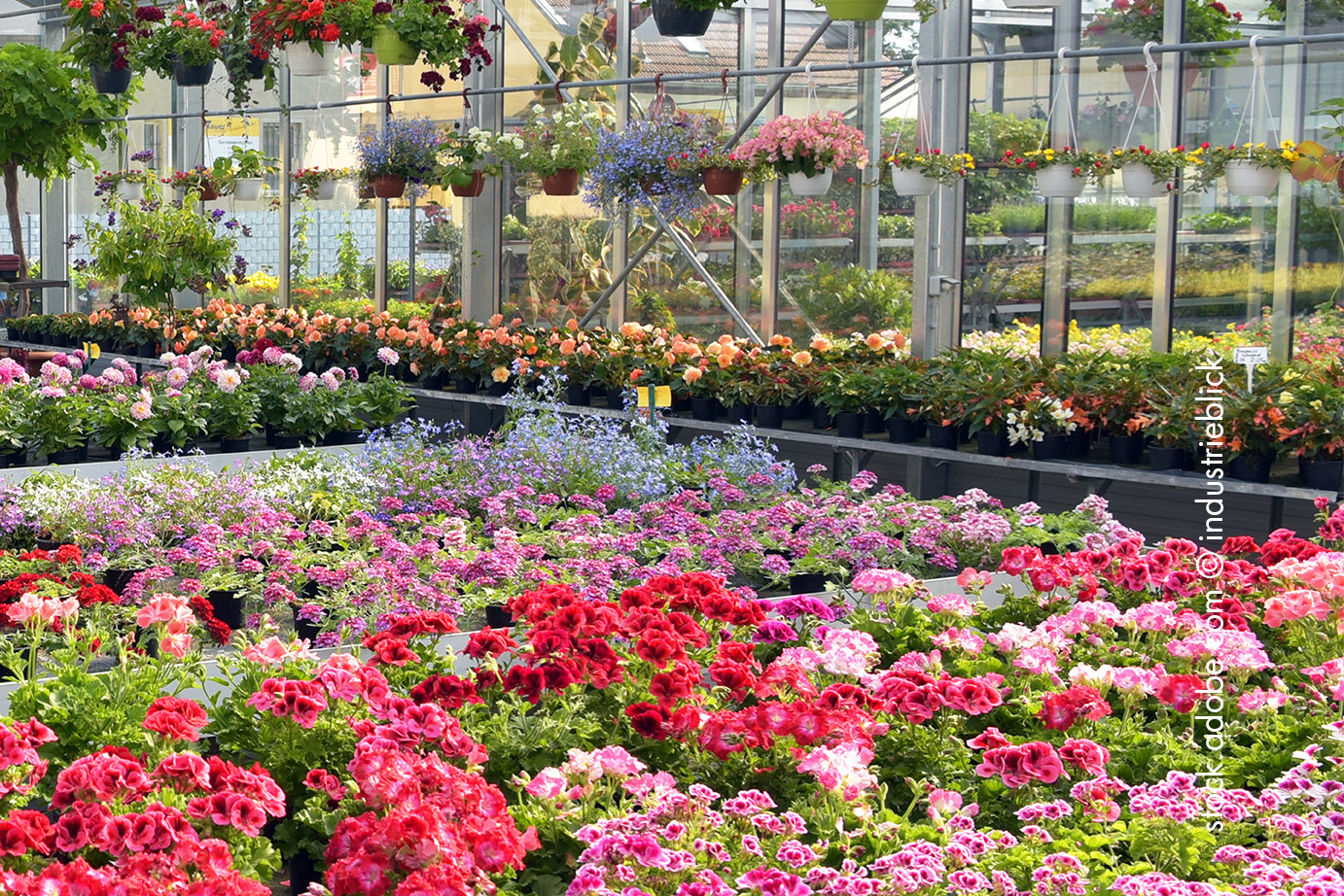 Betriebsbesichtigung Gärtnerei Bendler